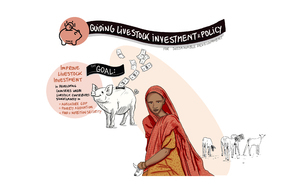 CRPlivestock_llafs_12jun2020_infographic2.jpg.jpg