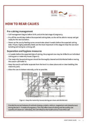 CalfRearing.pdf.jpg