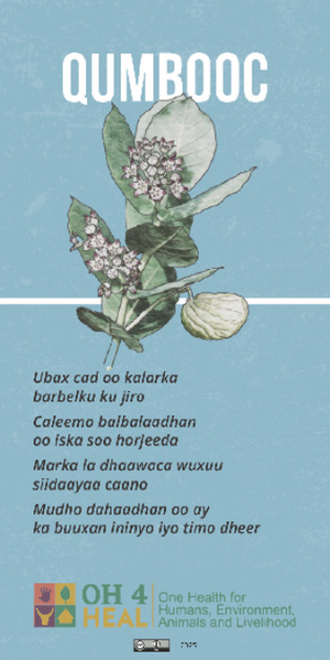Calotropis_sticker_Somali.pdf.jpg