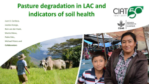 Cardoso_et_al_Pasture_degradation_and_indicators_of_soil_health_LAC_without_video.pdf.jpg