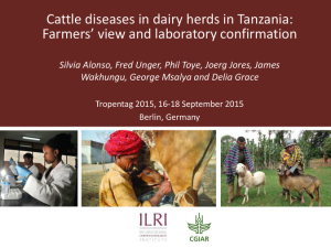 Cattle diseases dairy herds TZ.pdf.jpg