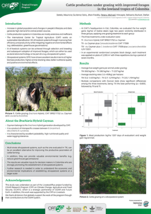 Cattle_production_under_grazing_with_improved_forages.pdf.jpg