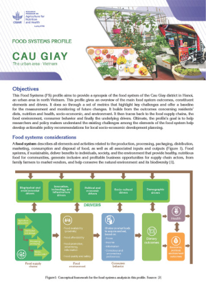 CauGiay_FoodSys_2020.pdf.jpg