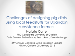 Challenges of designing pig diets.pdf.jpg