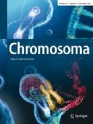 Chromosoma.jpg