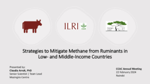 Claudia CCAC presentation 2024.pdf.jpg