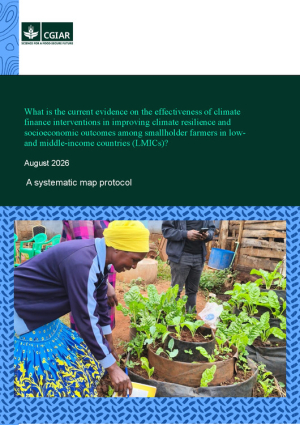 Climate finance systematic lit review.pdf.jpg