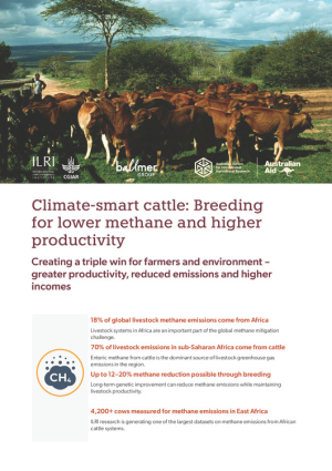 Climate_smart_cattle_Breeding.pdf.jpg Climate_smart_cattle_Breeding.pdf.jpg