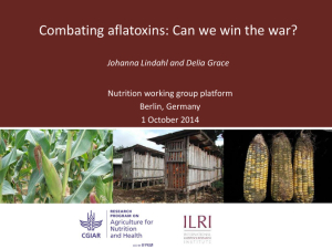 Combating aflatoxins.pdf.jpg