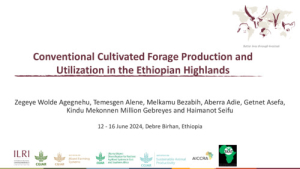 Conventioal Cultivate Forage Production_2024.pdf.jpg