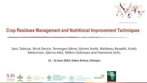 Crop Residues_2024.pdf.jpg