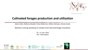 Cultivated forages_2024.pdf.jpg