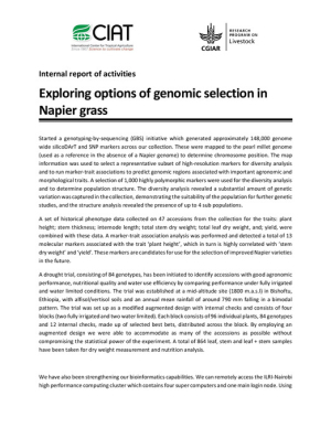 D4251 3.2.3_ExploringGenomicSelectionNapierGrass.pdf.jpg