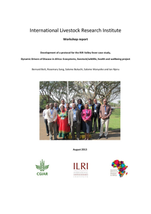 DDDAC RVF Case study workshop report_30Aug2013.pdf.jpg