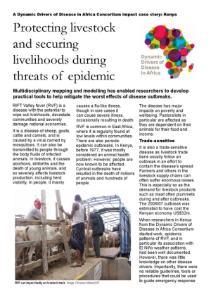 DDDAC-impact-Protecting-livestock.pdf.jpg