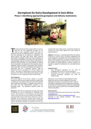 DGEA project flier.pdf.jpg