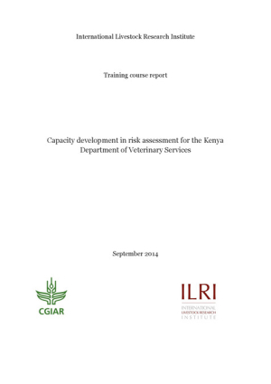 DVS capacity development in risk assessment.pdf.jpg