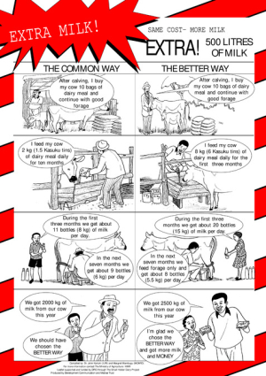 Dairy meal milk poster English.pdf.jpg