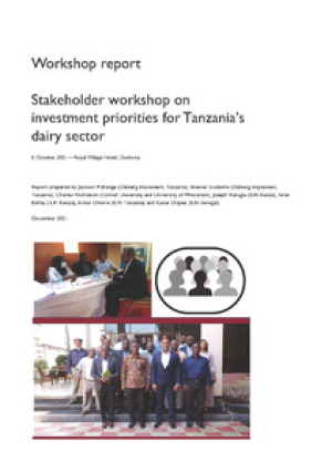 DaryStakeholderWorkshop_Tanzania.pdf.jpg
