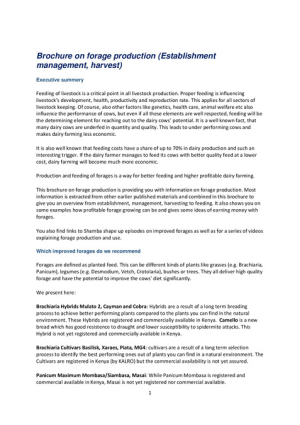 Deliverable 12 Brochure on forage production.pdf.jpg