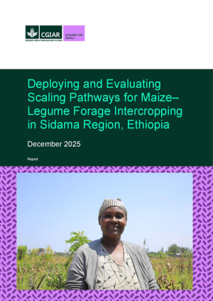 Deploying and Evaluating_2025.pdf.jpg