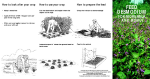 Desmodium leaflet English.pdf.jpg