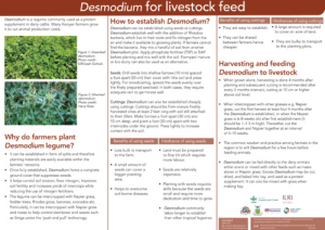 Desmodium_en_May2024.pdf.jpg