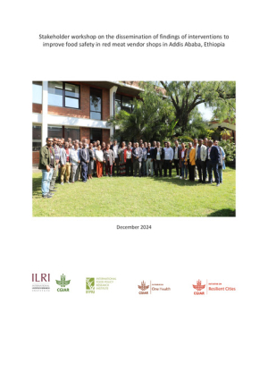 Dissemination workshop ET.pdf.jpg