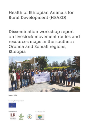 Dissemination_workshop_report.pdf.jpg