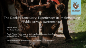 Donkey Sanctuary.png