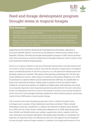 DroughtStressTropicalForages_FFD.pdf.jpg