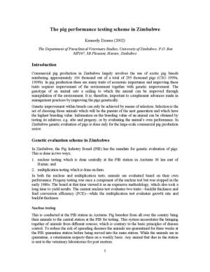 Dzama-Pigtesting.pdf.jpg