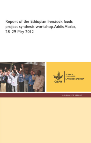 ELF_report_workshopsynthesis.pdf.jpg