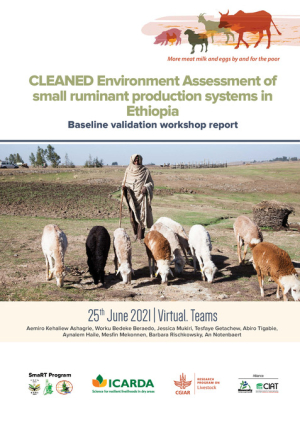 ETHIOPIA CLEANED REPORT12 AUG.pdf.jpg