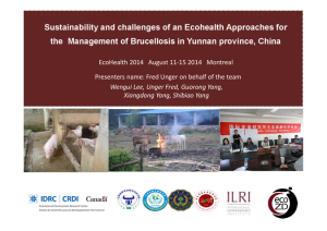 Ecohealth approaches for brucellosis management.pdf.jpg