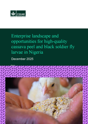 Enterprise landscape and opportunities for high-quality cassava peel and black soldier fly larvae in Nigeria.pdf.jpg