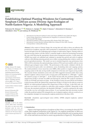 Establishing Optimal Planting Windows for Contrasting Sorghum Cultivars.pdf.jpg