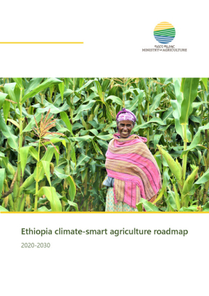 Ethiopia CSA Roadmap Final Version.pdf.jpg