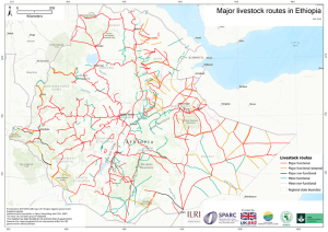 Ethiopia Livestock Routes.pdf.jpg