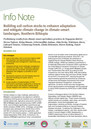 Ethiopia soil carbon InfoNote_SS_v2.pdf.jpg