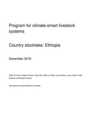 Ethiopia stocktake report.pdf.jpg