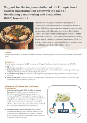 EthiopiaFoodSystemTransfPathway.pdf.jpg