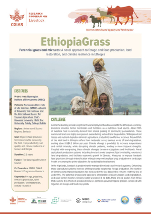 EthiopiaGrass_Projectbrief_FINAL.pdf.jpg