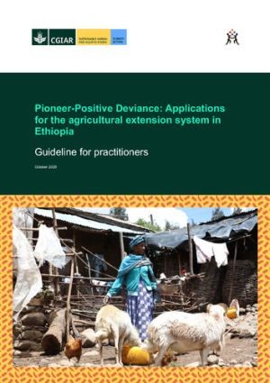 EthiopiaPPD_guidelines.pdf.jpg
