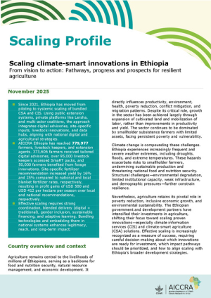 Ethiopia_Scaling_InfoNote_2025.pdf.jpg