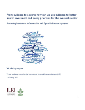 EvidenceToAction_WorkshopSummary.pdf.jpg