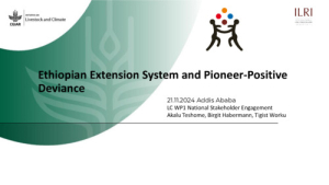 Extension_PPD_Ethiopia (002).pdf.jpg