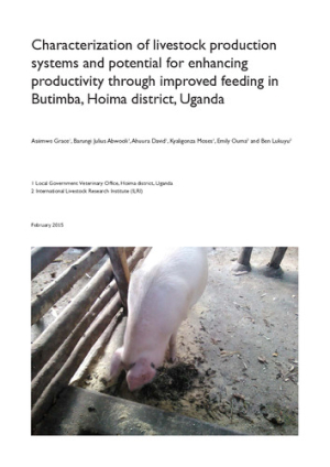 FEAST_Butimba.pdf.jpg