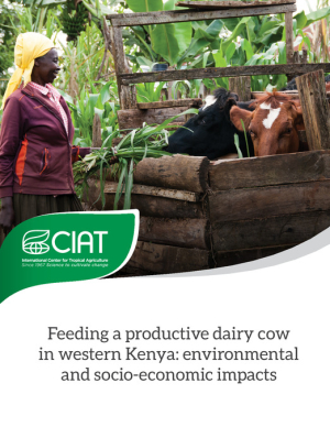 FEEDING A PRODUCTIVE DAIRY COW IN WESTERN KENYA (002).pdf.jpg