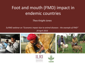 FMD endemic impact.pdf.jpg
